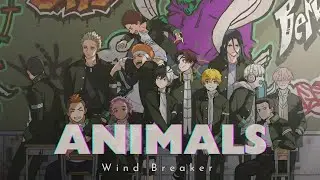 Wind Breaker「AMV」- Animals