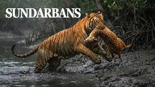 The Only Place on Earth Where Humans Are Still Prey