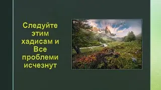 Следуйте этим хадисам если хотите довольства Аллаха
