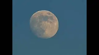 Afternoon Moon Rise -  January 11, 2025