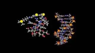 Bleomycin
