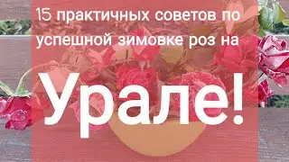 #о_зимовке_роз  15 правил успешной зимовки роз на Урале!