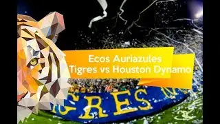 Ecos Auriazules |  Recibimiento vs Dynamo