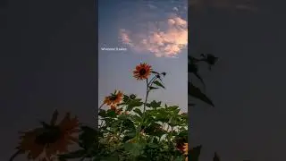right here waiting