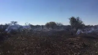 Thakadu Burn July 2017 5