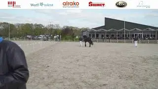 Stamboekkeuring Harich | 3 mei 2023