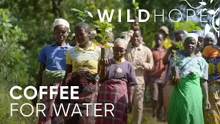 How Sustainable Coffee Farms Could Save This African Forest | WILD HOPE