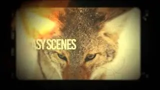 Speed Slidehow After Effects Project Download