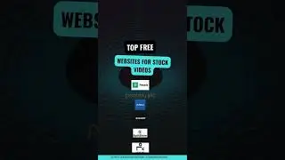 Top Websites for Stock Videos in 2024 | Access High-Quality Footage for Your Projects