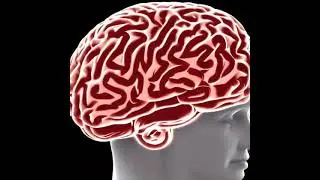 Exploring the Power of Hemi-Sync: Synchronizing Brain Hemispheres with Frequency Modulation
