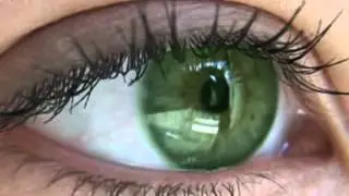 رنگ چشم و شخصیت شناسی