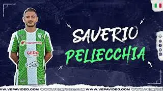 Saverio Pellecchia - Highlights 23/24