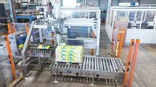 Palletizer 800 cycles per hour: SMART PRO