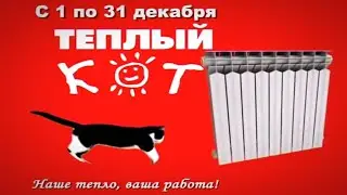 Тёплый Кот