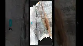3D scanned rock Wall #kiriengine