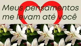 MENSAGEM DE AMOR WHATSAPP | MENSAGEM DE AMOR