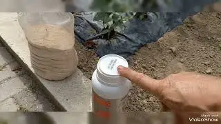 değişen iklim şartlarına karşı bitki koruma hobi günlüğü 208