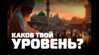 Каков твой уровень?