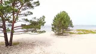 Массовый перелет огромной стаи уток над озером Байкал