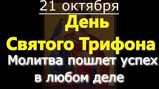 День Святого Трифона. Молитва пошлет успех в любом деле