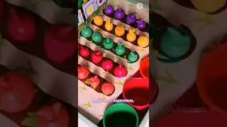 Развивающий игровой набор 