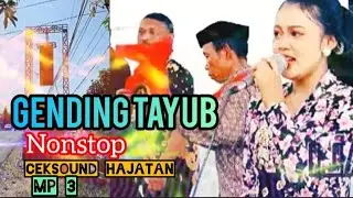 Tayub campursari #campursariklasik  #langgamjawacampursari #tayup