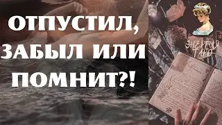 ОТПУСТИЛ, ЗАБЫЛ ИЛИ ПОМНИТ?
