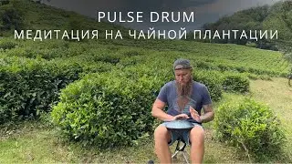 Медитация на PULSE DRUM на чайной плантации. Глюкофон, музыка для расслабления, релакса