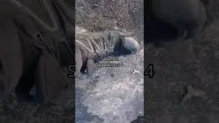 Лучшие для меня кроссовки