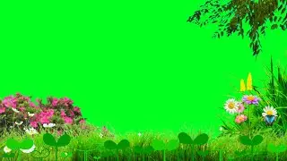 Green Screen Video effect green screen love background video green screen full HD video
