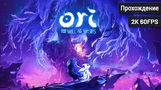 Ori and the Will of the Wisps ⦁ Полное прохождение