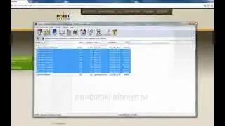 Повторяйте шаги на Форекс и зарабатывайте на полном Автопилоте!