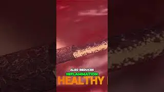 Boost Your Immune System with Septiline - All Natural Capsule for Wellness