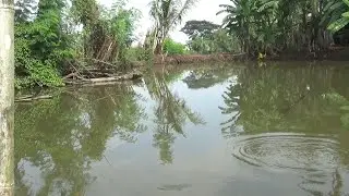 Mancing gabus ko dapet kakap