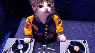 Dj Rankin----The Best Days Of Our Life