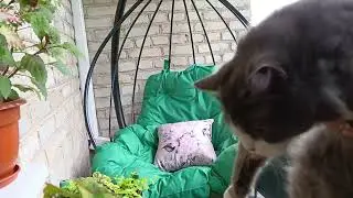 Мой уголок для души на балконе