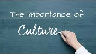 Organizational Culture and Design