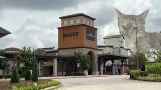 Urotorocat Ferra Trip to Premium Outlet  / ウロトキャット・フェラのプレミアムアウトレットへの旅行