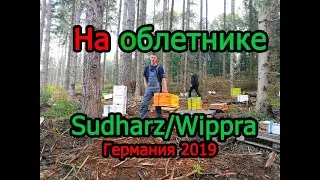 На облетнике Sudharz/Wippra  Поездка в Германию 2019