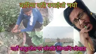 Masti Vlog धेरै पछाडि बारितिर झ्यारझ्यार  गाईज || गर्नुछ कसैलाई बाचुन्जेल गर मरेपछि सिम्याथि नखाेज
