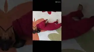 видео отчёт