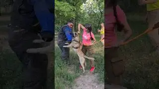 😱Super bite‼️#STRAZHODESSA Malinois training Odessa Ukraine 2024