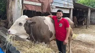 KURBANLIKLARA ELVEDA / KURBANLIK BAKIMI 2024