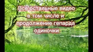 Информация + обработка и Арт