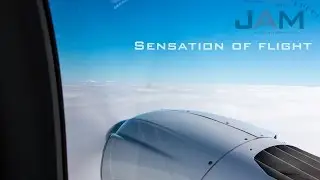 Sensation of Flight