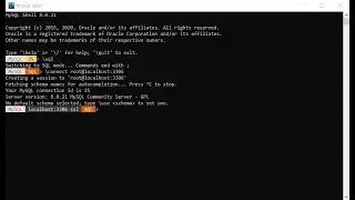 mysql shell start