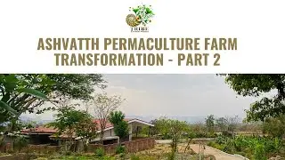 Tribe Permaculture success story of Ashvatth Farm - Part 2
