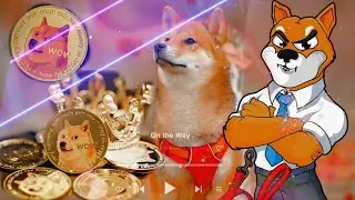 SHIBA ARMY PRESENT SHIBA INU VIDEO SONG 