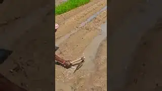 clearing water blocks after rain