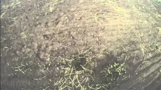 Коп на перепаханном поле